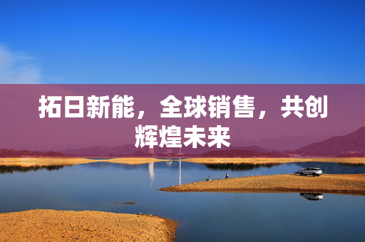 拓日新能，全球销售，共创辉煌未来