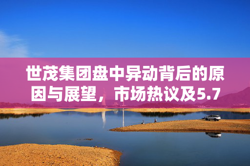 世茂集团盘中异动背后的原因与展望，市场热议及5.71%涨幅解析