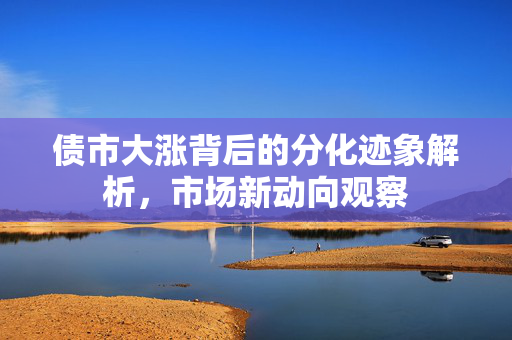 债市大涨背后的分化迹象解析，市场新动向观察