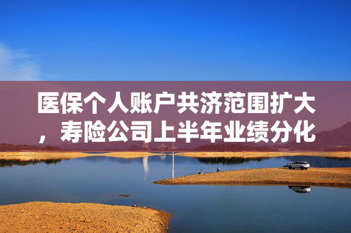 医保个人账户共济范围扩大，寿险公司上半年业绩分化，保险市场新动态观察