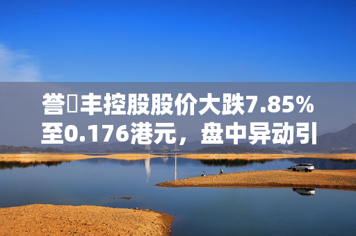 誉燊丰控股股价大跌7.85%至0.176港元，盘中异动引关注