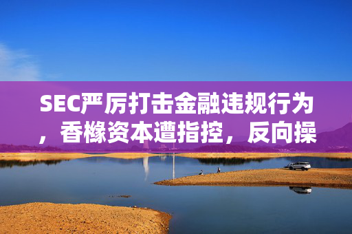SEC严厉打击金融违规行为，香橼资本遭指控，反向操作Meta和英伟达引发市场风波，最高判刑可达370年