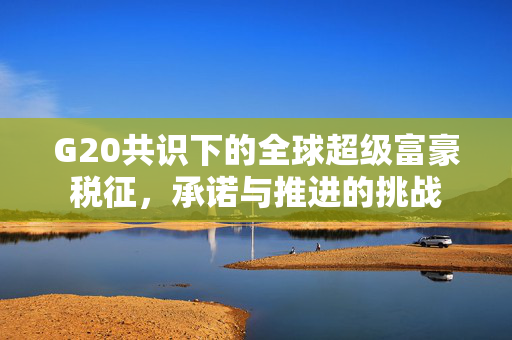 G20共识下的全球超级富豪税征，承诺与推进的挑战