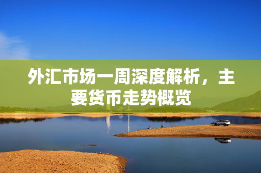 外汇市场一周深度解析，主要货币走势概览