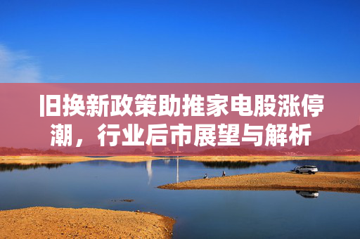 旧换新政策助推家电股涨停潮，行业后市展望与解析