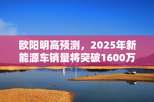 欧阳明高预测，2025年新能源车销量将突破1600万辆，引领绿色出行新时代