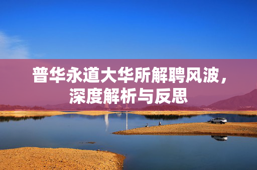 普华永道大华所解聘风波，深度解析与反思