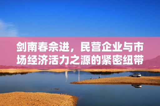 剑南春佘进，民营企业与市场经济活力之源的紧密纽带