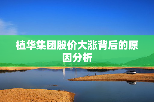 植华集团股价大涨背后的原因分析