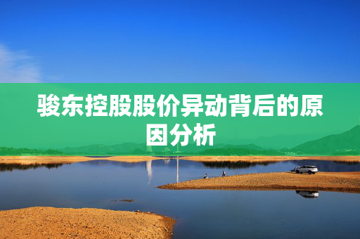 骏东控股股价异动背后的原因分析