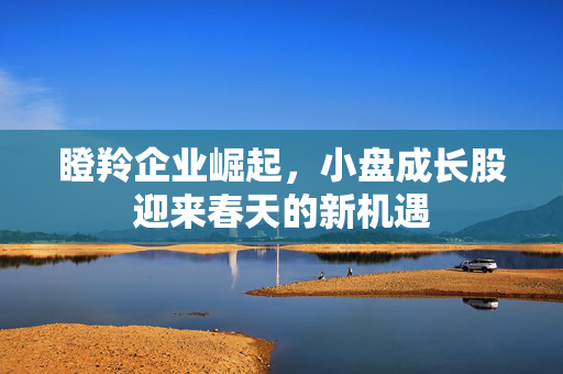 瞪羚企业崛起，小盘成长股迎来春天的新机遇