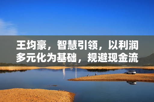 王均豪，智慧引领，以利润多元化为基础，规避现金流多元化风险