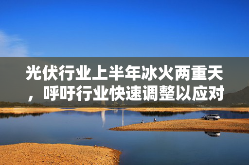 光伏行业上半年冰火两重天，呼吁行业快速调整以应对挑战