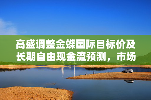高盛调整金蝶国际目标价及长期自由现金流预测，市场分析与展望