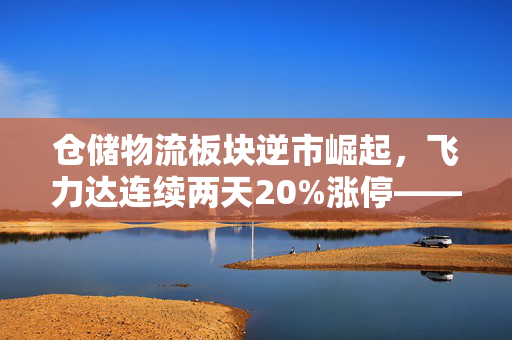 仓储物流板块逆市崛起，飞力达连续两天20%涨停——深度解析市场热议背后原因