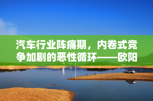 汽车行业阵痛期，内卷式竞争加剧的恶性循环——欧阳明高的警醒