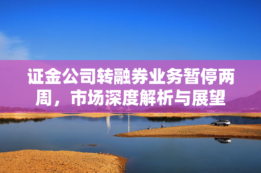 证金公司转融券业务暂停两周，市场深度解析与展望