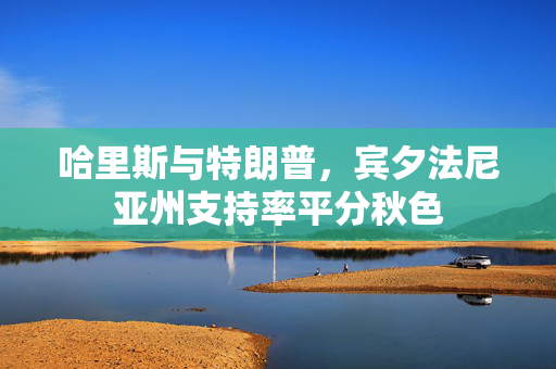 哈里斯与特朗普，宾夕法尼亚州支持率平分秋色
