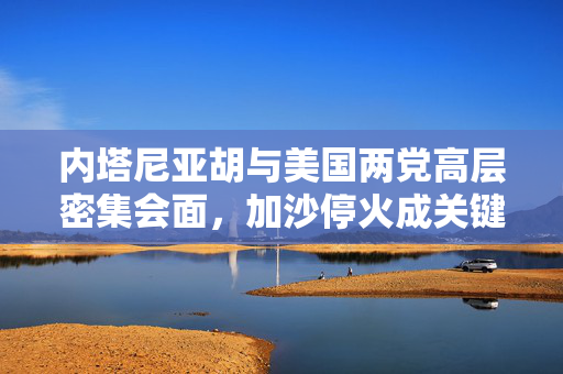 内塔尼亚胡与美国两党高层密集会面，加沙停火成关键议题