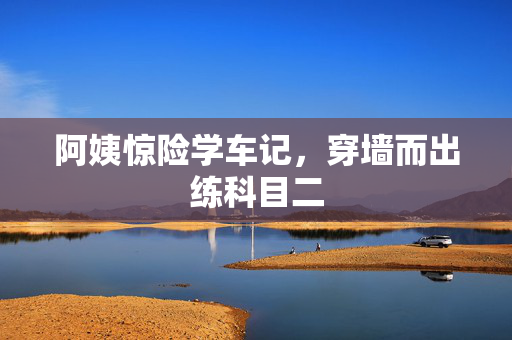 阿姨惊险学车记，穿墙而出练科目二