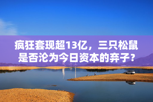 疯狂套现超13亿，三只松鼠是否沦为今日资本的弃子？