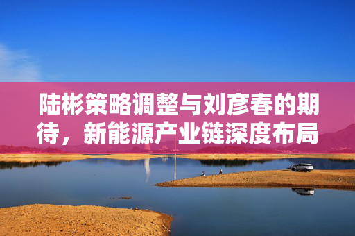 陆彬策略调整与刘彦春的期待，新能源产业链深度布局与响应内需政策呼唤