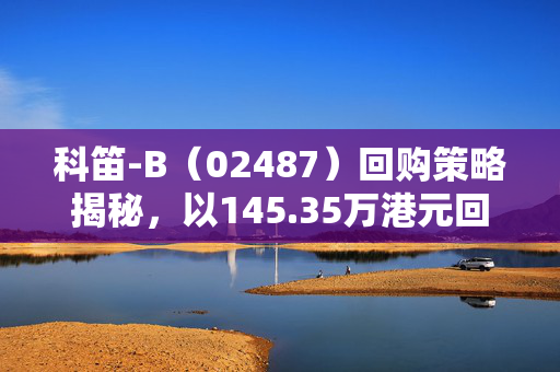 科笛-B（02487）回购策略揭秘，以145.35万港元回购20.4万股的背后考量