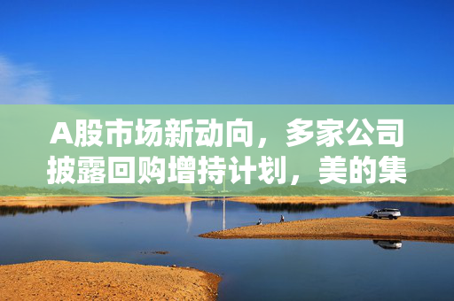 A股市场新动向，多家公司披露回购增持计划，美的集团领头展现积极态势