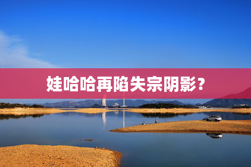 娃哈哈再陷失宗阴影？