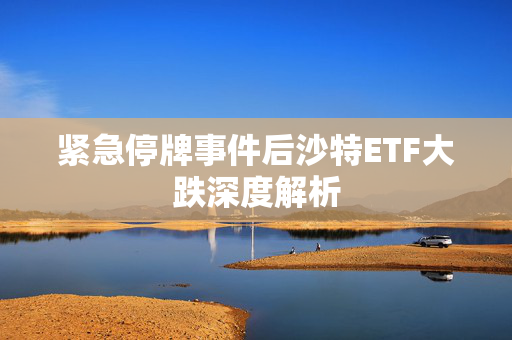 紧急停牌事件后沙特ETF大跌深度解析