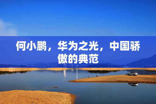 何小鹏，华为之光，中国骄傲的典范