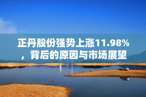 正丹股份强势上涨11.98%，背后的原因与市场展望