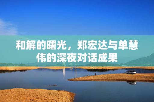 和解的曙光，郑宏达与单慧伟的深夜对话成果