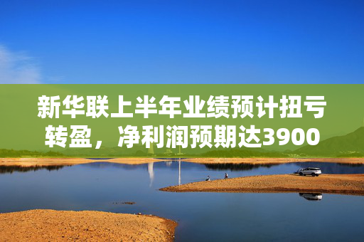 新华联上半年业绩预计扭亏转盈，净利润预期达3900万元至5800万元