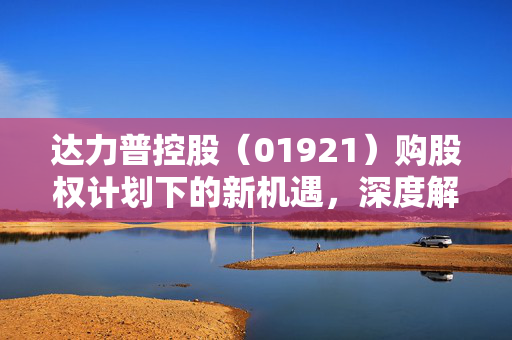 达力普控股（01921）购股权计划下的新机遇，深度解析发行10万股的机遇与挑战