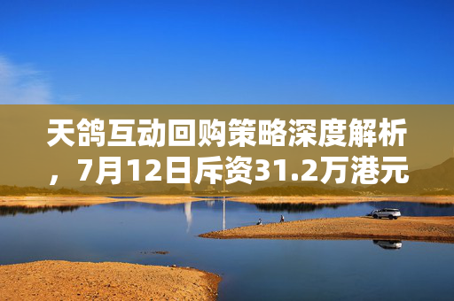 天鸽互动回购策略深度解析，7月12日斥资31.2万港元回购60万股的背后逻辑