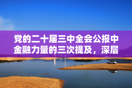 党的二十届三中全会公报中金融力量的三次提及，深层解读与影响