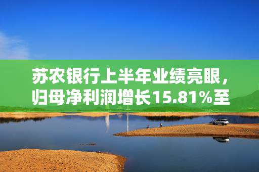 苏农银行上半年业绩亮眼，归母净利润增长15.81%至11.21亿元