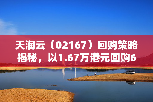 天润云（02167）回购策略揭秘，以1.67万港元回购6600股的背后逻辑