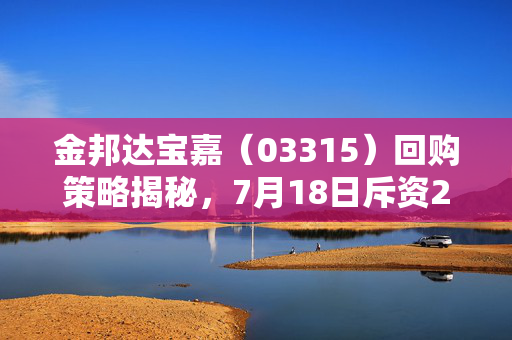 金邦达宝嘉（03315）回购策略揭秘，7月18日斥资20.8万港元回购20.1万股的背后考量