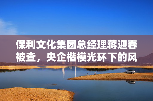 保利文化集团总经理蒋迎春被查，央企楷模光环下的风波