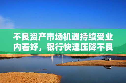 不良资产市场机遇持续受业内看好，银行快速压降不良，投资端迈向市场化发展