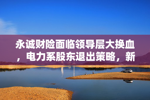 永诚财险面临领导层大换血，电力系股东退出策略，新打法重塑未来之路？