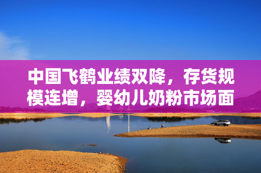 中国飞鹤业绩双降，存货规模连增，婴幼儿奶粉市场面临的挑战与思考