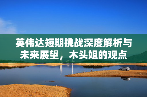 英伟达短期挑战深度解析与未来展望，木头姐的观点