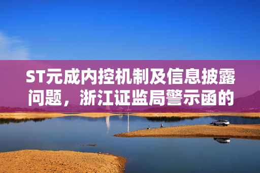 ST元成内控机制及信息披露问题，浙江证监局警示函的深度解析