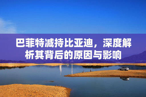 巴菲特减持比亚迪，深度解析其背后的原因与影响