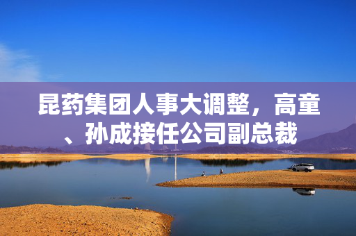 昆药集团人事大调整，高童、孙成接任公司副总裁
