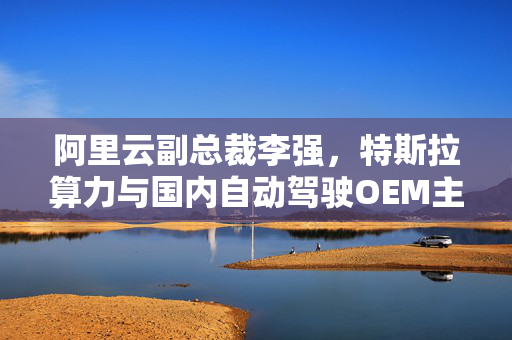 阿里云副总裁李强，特斯拉算力与国内自动驾驶OEM主机厂实力并驾齐驱