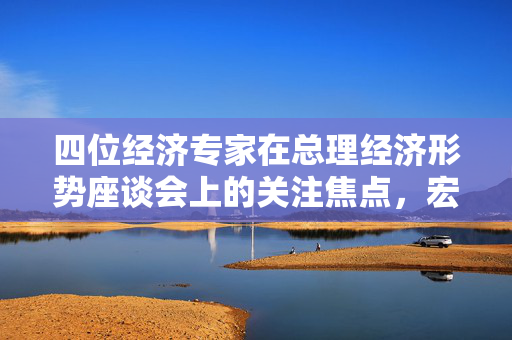 四位经济专家在总理经济形势座谈会上的关注焦点，宏观经济趋势与政策调整的深度探讨